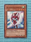 Dragon Shield