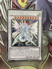 White Night Dragon