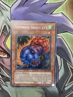 Ultimate Insect LV1