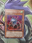 Ultimate Insect LV5
