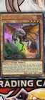 Dragonbite