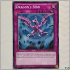 Dragon's Bind