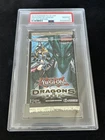 Blizzard Dragon
