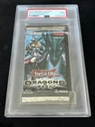 Blizzard Dragon
