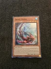 Drake Shark