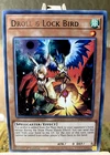 Droll & Lock Bird