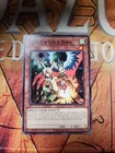 Droll & Lock Bird