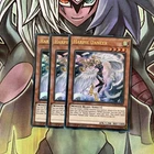 Harpie Dancer