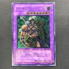 Elemental HERO Wildedge