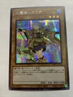 The Iris Swordsoul