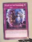 Escape of the Unchained