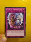 Escape of the Unchained
