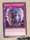Escape of the Unchained