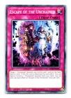 Escape of the Unchained
