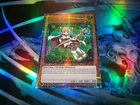 Dark Magician Girl the Dragon Knight