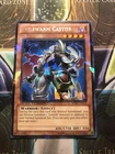 Evilswarm Castor
