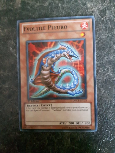 Evoltile Pleuro