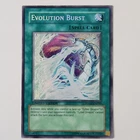 Evolution Burst