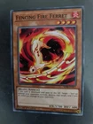 Fencing Fire Ferret
