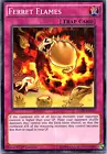 Ferret Flames