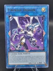 Firewall Dragon