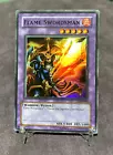 Flame Swordsman