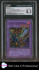Flame Swordsman