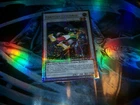Junk Synchron