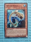 Friller Rabca