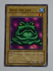 Turtle Bird