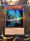Red-Eyes Black Dragon