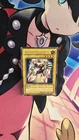 Gamma The Magnet Warrior