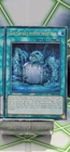 Forbidden Dark Contract with the Swamp King