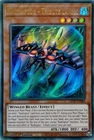 Raidraptor - Vanishing Lanius