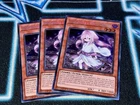 XX-Saber Gottoms