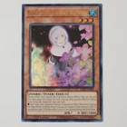 Ghost Sister & Spooky Dogwood