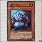 Giant Rat