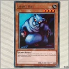Giant Rat