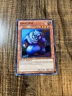 Giant Rat