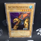 Giant Turtle Who Feeds on Flames