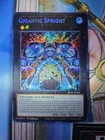 Gigantic Spright