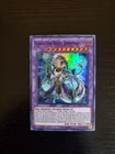 Gladiator Beast Domitianus