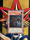 Brotherhood of the Fire Fist - Tiger King