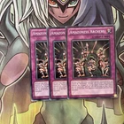 R-Genex Oracle