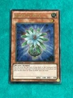 Glow-Up Bulb
