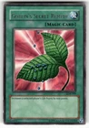 Goblin's Secret Remedy