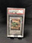 Shooting Star Dragon