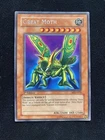Great Moth