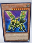 Great Moth
