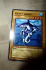 Great White